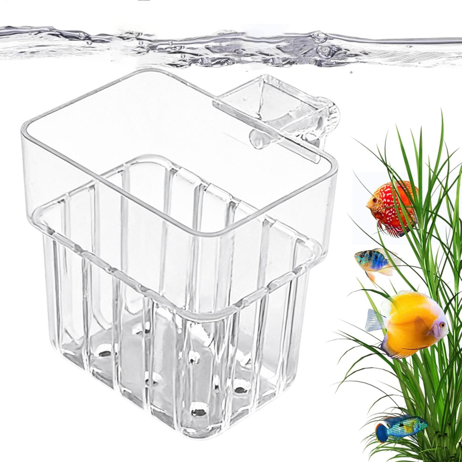 Aquarium Plant Growth - 투명한 걸이형 수족관 식물 홀더 화분