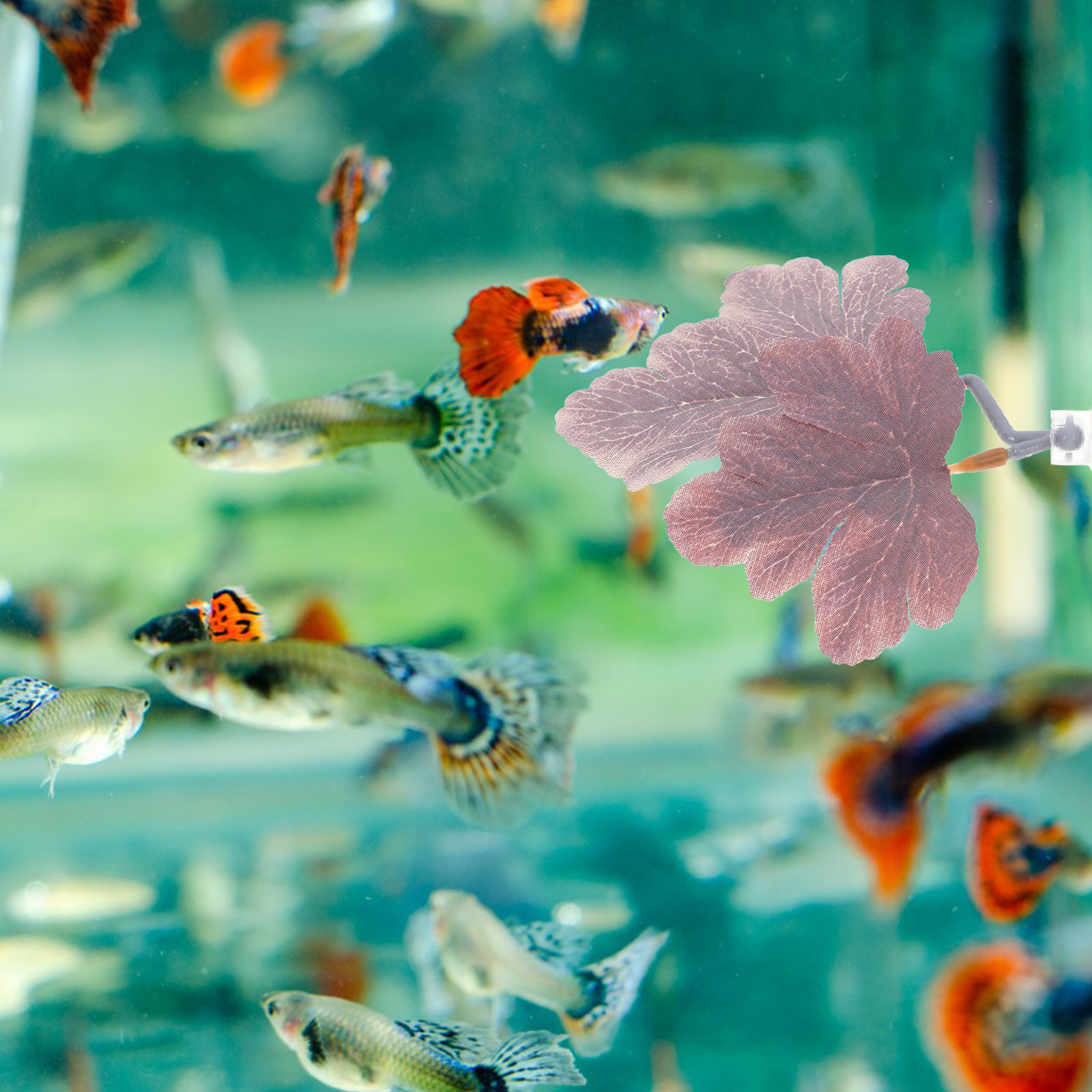 Planted Aquarium For Betta - 베타 물고기 잎 해먹, 사실적인 플라스틱