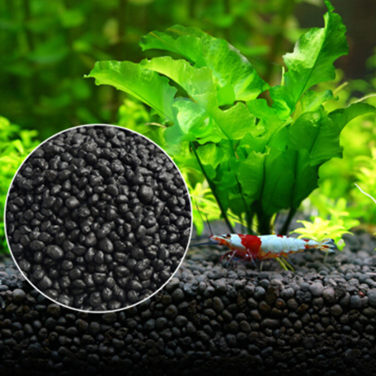Aquarium Plant Growth - 수족관 식물 씨앗 토양 어항 기판