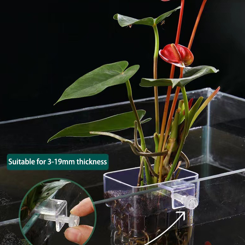 Planted Aquarium With Fish - 다기능 물고기 수족관 물 잔디 심기