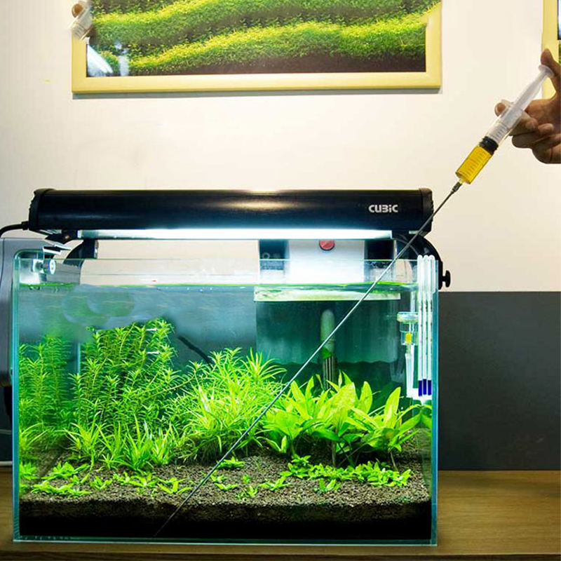 Aquarium Plant Growth - 30cm 50cm 수족관 식물 성장 건강한