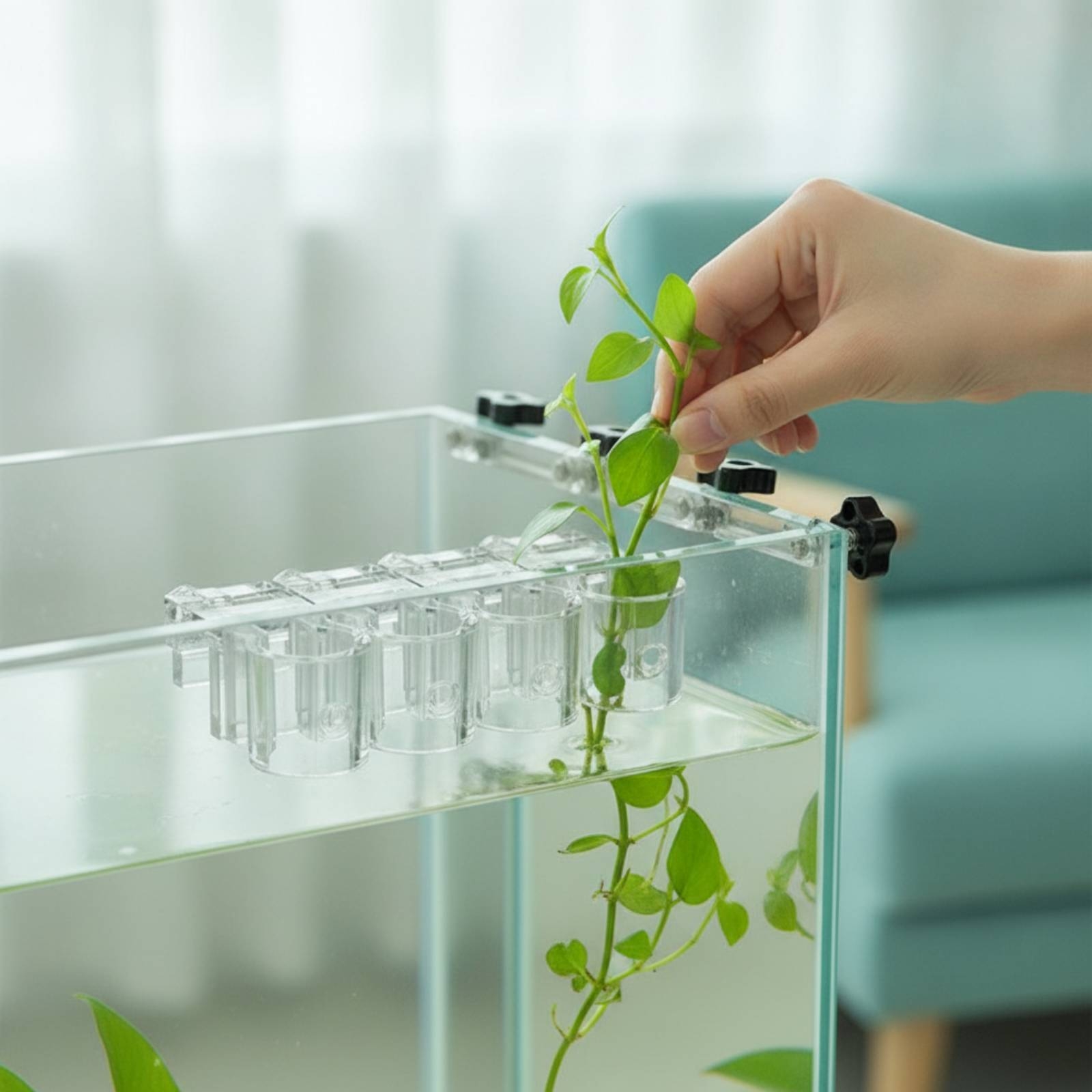 6개 수족관 플랜터 투명 수경 재배 지지 클립(나사 포 - Aquarium Planting 리뷰 및 가격