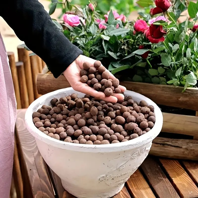 수족관 장식, 수생 식물 재배, 다육 식물 및 분재용  - Aquarium Planting 리뷰 및 가격