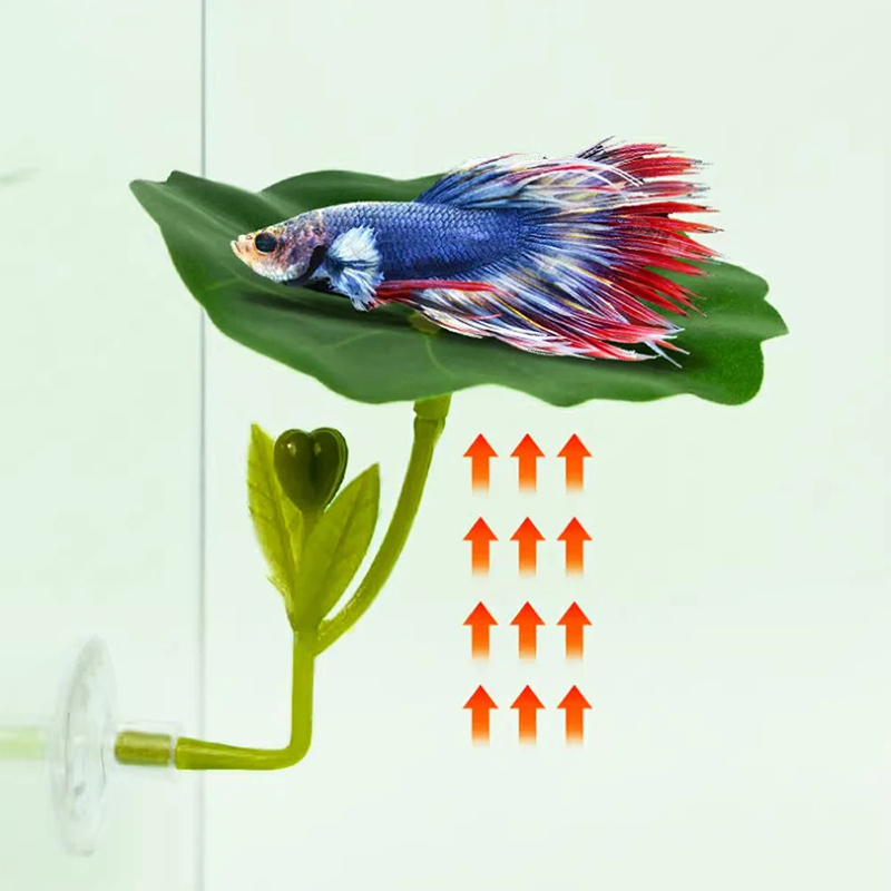 베타 물고기를 위한 녹색 잎 모양 해먹 1개, 스트레스 - Planted Aquarium For Betta 리뷰 및 가격