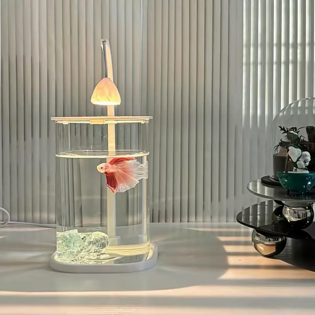 360 °   파노라마 투명 데스크탑 어항 미니 수족관 - Planted Aquarium For Betta 리뷰 및 가격