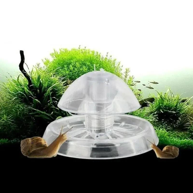 2026년형 새로운 6/8CM 투명 플라스틱 달팽이 트 - Planted Aquarium With Fish 리뷰 및 가격