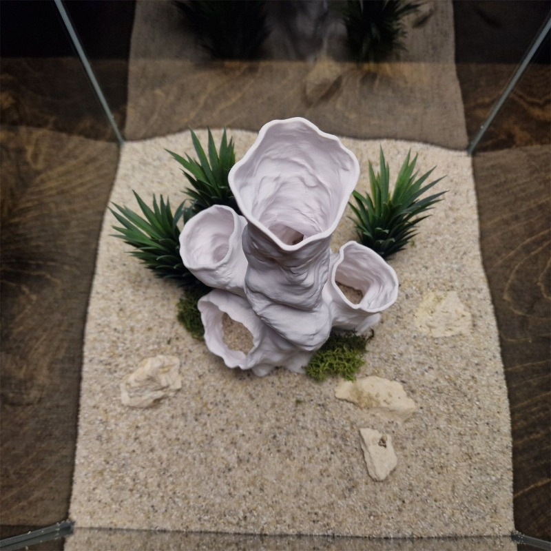 핫세일 3D 프린팅 산호 터널 은신처 나무 식물 장식  - Planted Aquarium For Betta 리뷰 및 가격