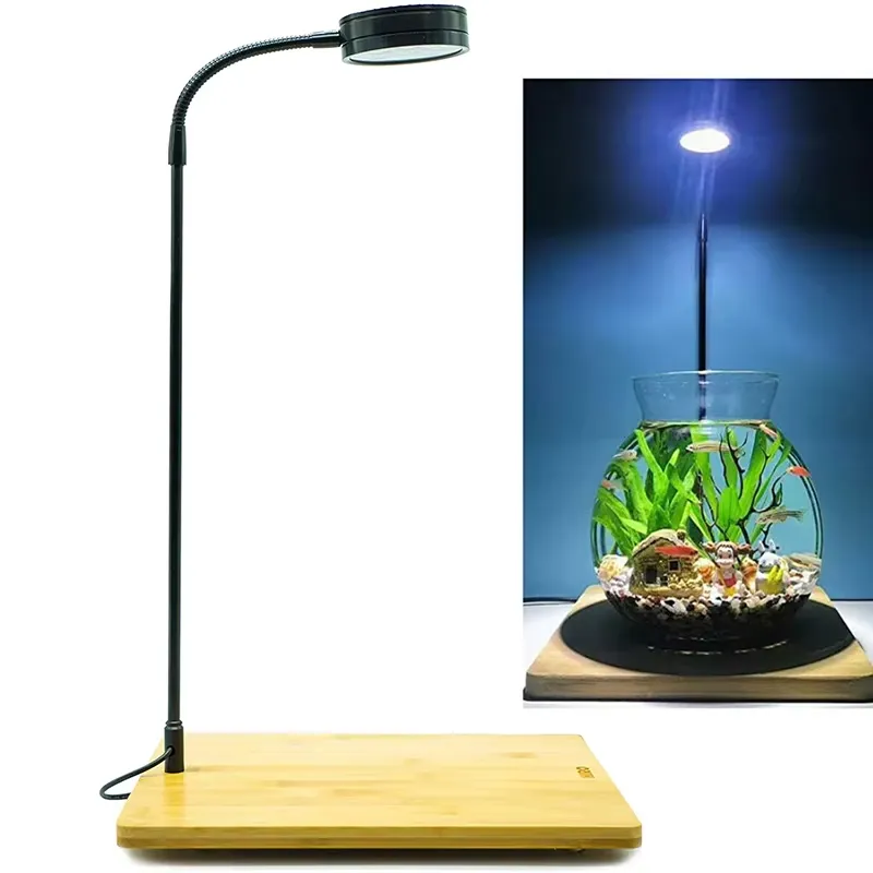 수족관 나노 탱크 베타 물고기 탱크 화분 식물 다육 식 - Planted Aquarium For Betta 리뷰 및 가격