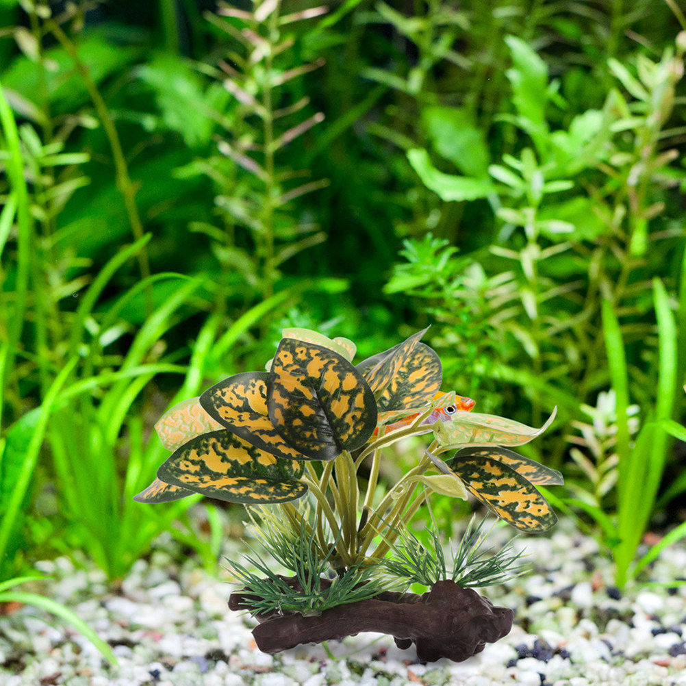 2Pcs 현실적인 인공 수족관 식물 베타 금붕어 작은  - Planted Aquarium For Betta 리뷰 및 가격