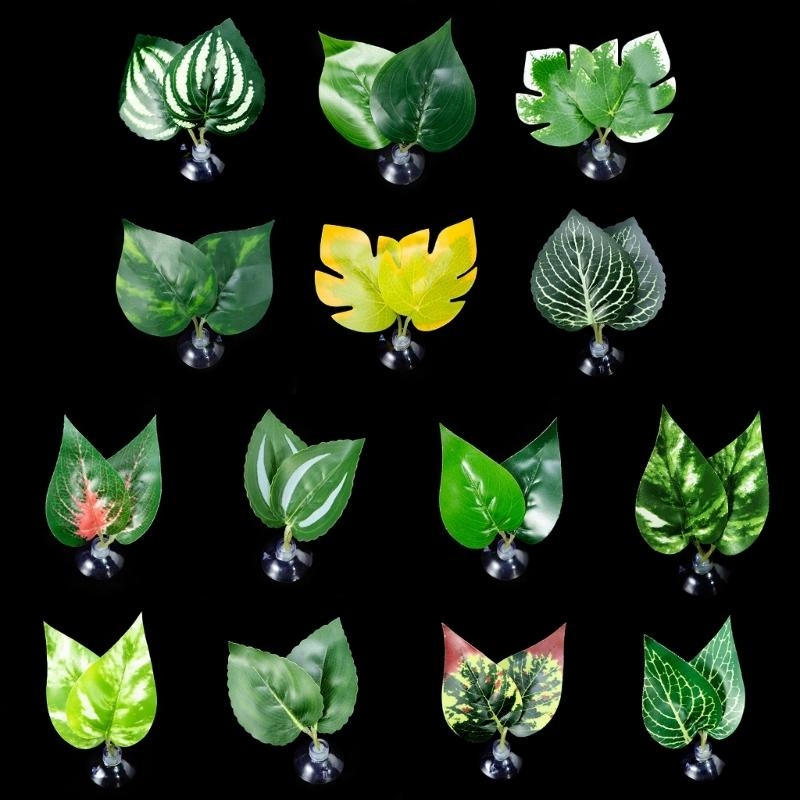 BettaFish 수족관 식물 조경 장식용 물고기 잎  - Planted Aquarium For Betta 리뷰 및 가격