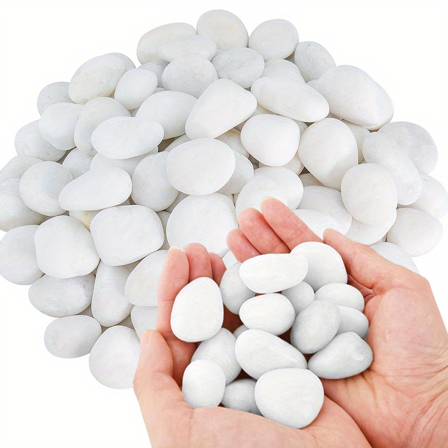 200/400g 흰색 고광택 천연 자갈 2-3cm 마당 - Aquarium Planting 리뷰 및 가격