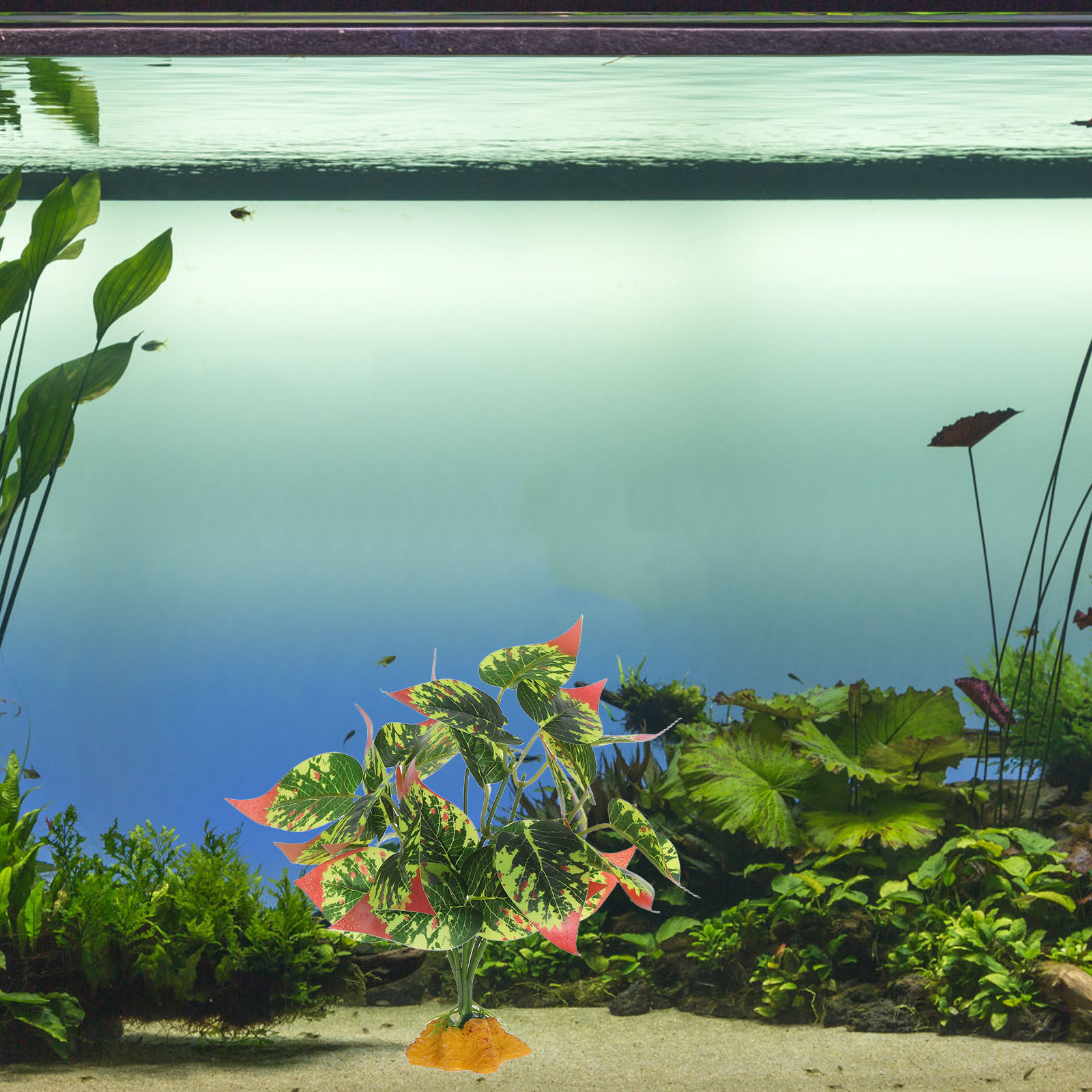 실물 같은 ABS 인조 식물 - 테라리움, 수족관, 파 - Planted Aquarium With Fish 리뷰 및 가격