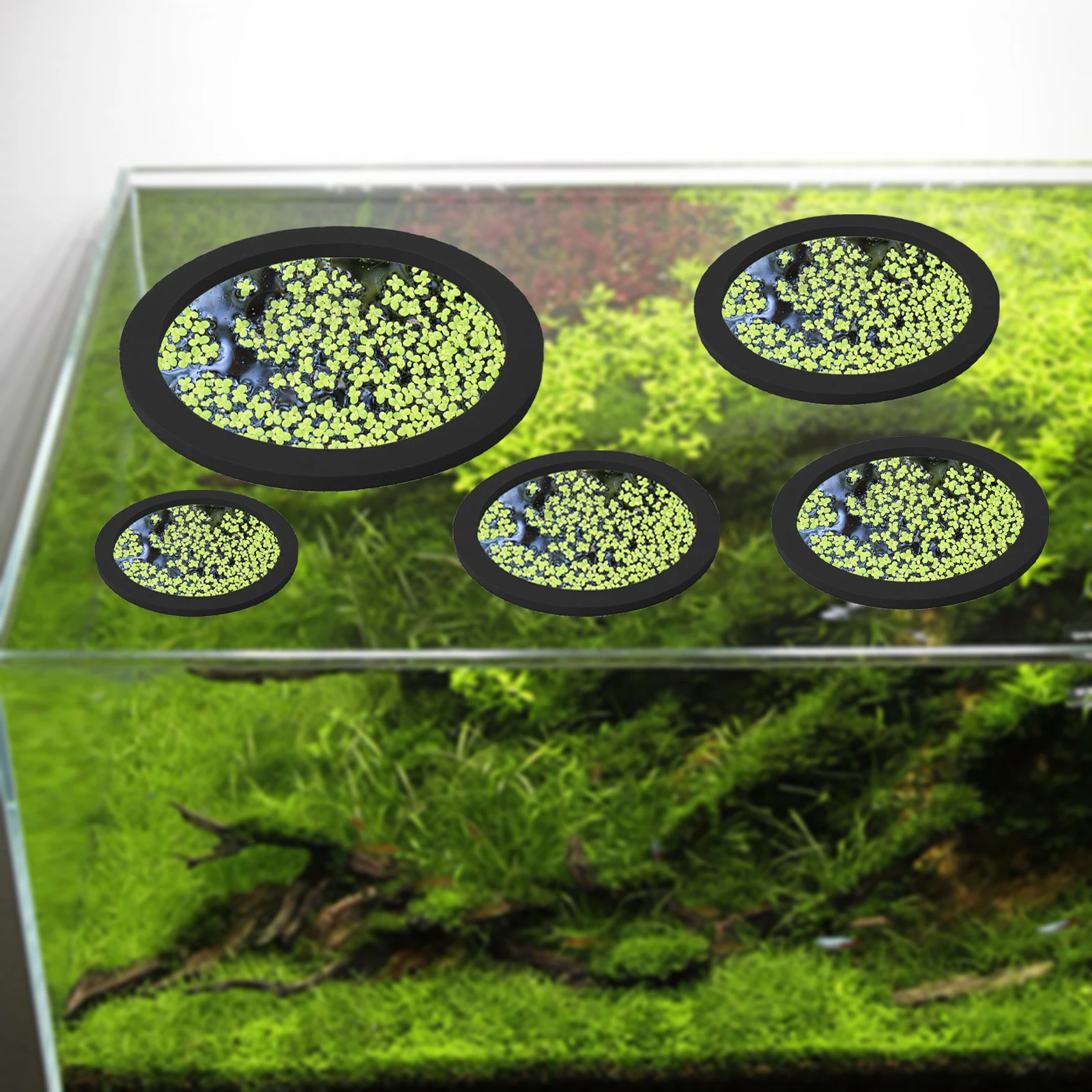 EVA 물고기 먹이 고리 수족관 플로팅 식물, 코랄 어 - Aquarium Planting 리뷰 및 가격
