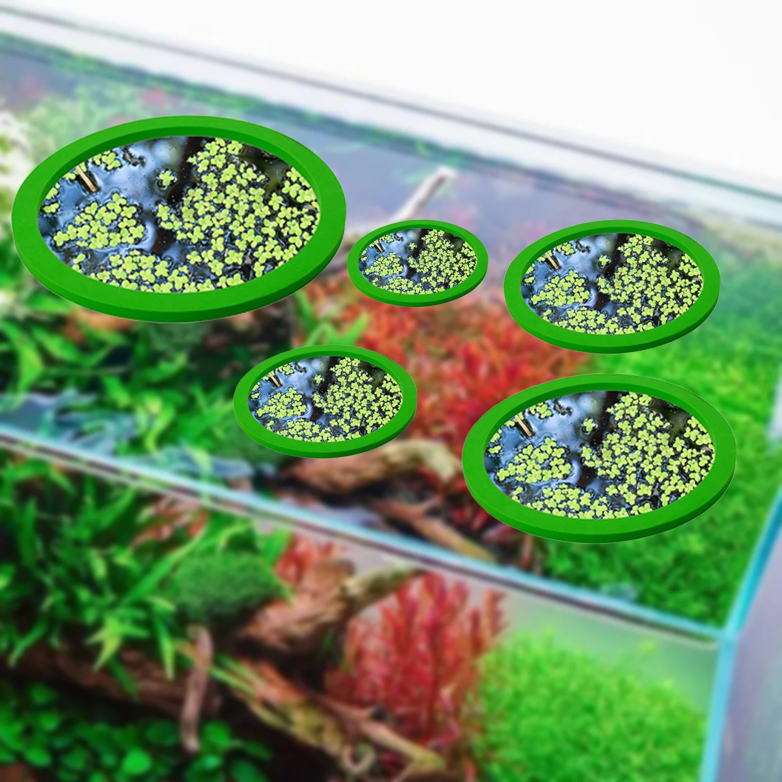 EVA 물고기 먹이 고리 수족관 플로팅 식물, 코랄 어 - Aquarium Planting 리뷰 및 가격