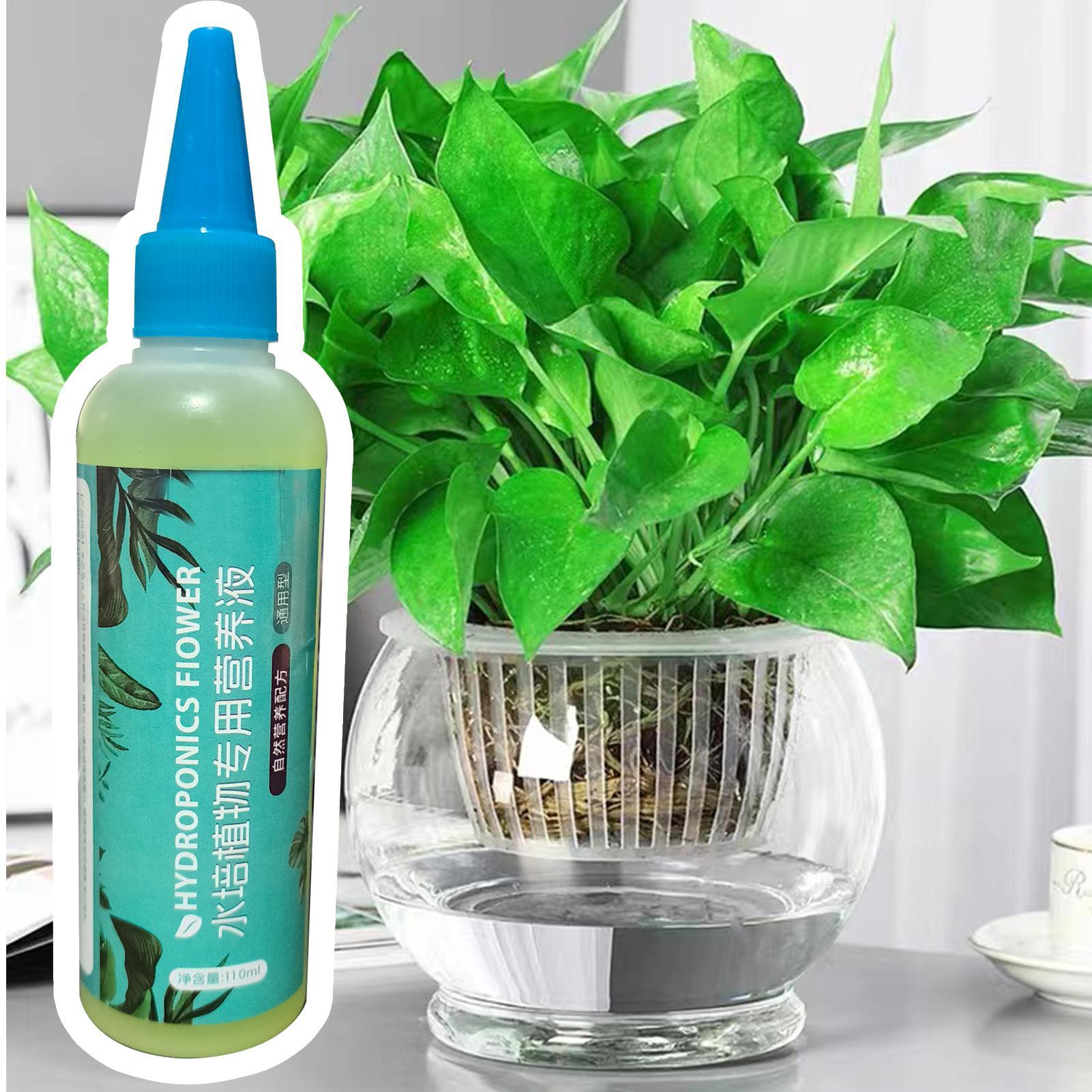 110ml 천천히 방출되는 다목적 성장 액체 비료 수경 - Liquid Fertilizer All In 리뷰 및 가격
