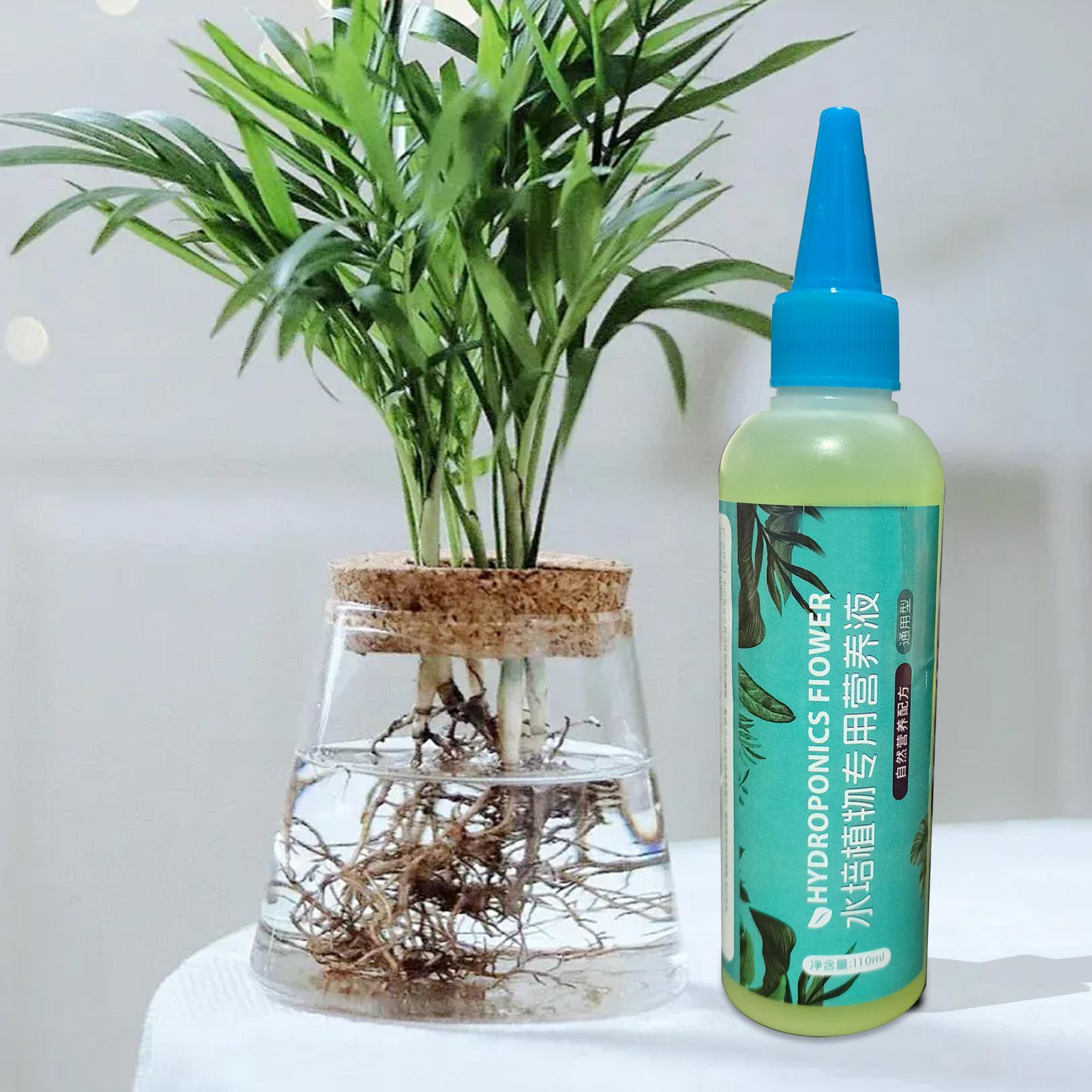 110ml 천천히 방출되는 다목적 성장 액체 비료 수경 - Liquid Fertilizer All In 리뷰 및 가격