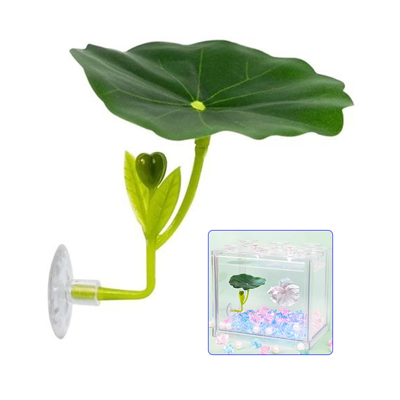 베타 물고기를 위한 녹색 잎 모양 해먹 1개, 스트레스 - Planted Aquarium For Betta 리뷰 및 가격