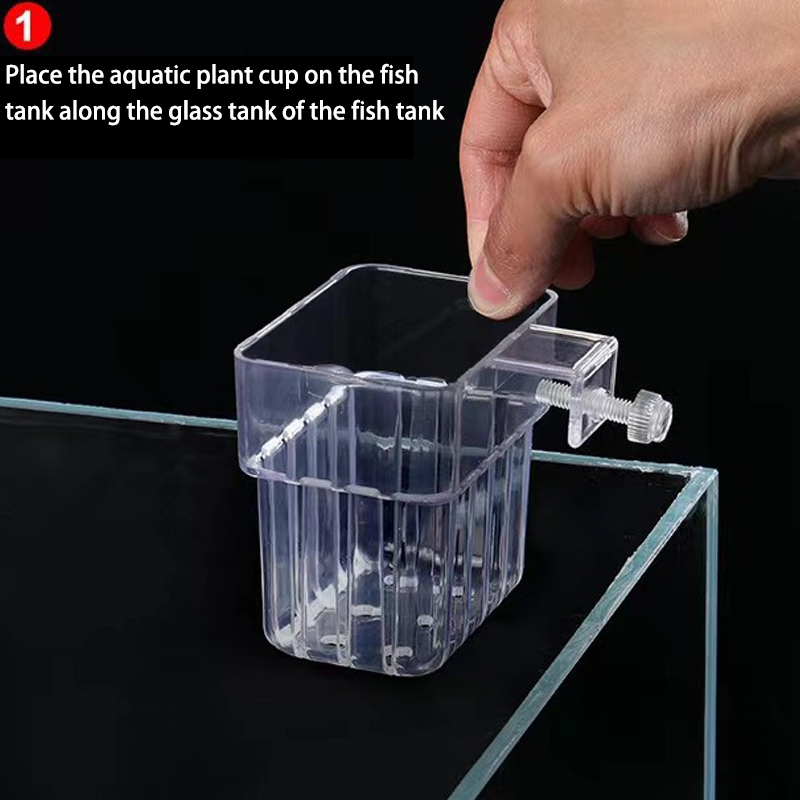 다기능 물고기 수족관 물 잔디 심기 컵, 사육 격리 상 - Planted Aquarium With Fish 리뷰 및 가격