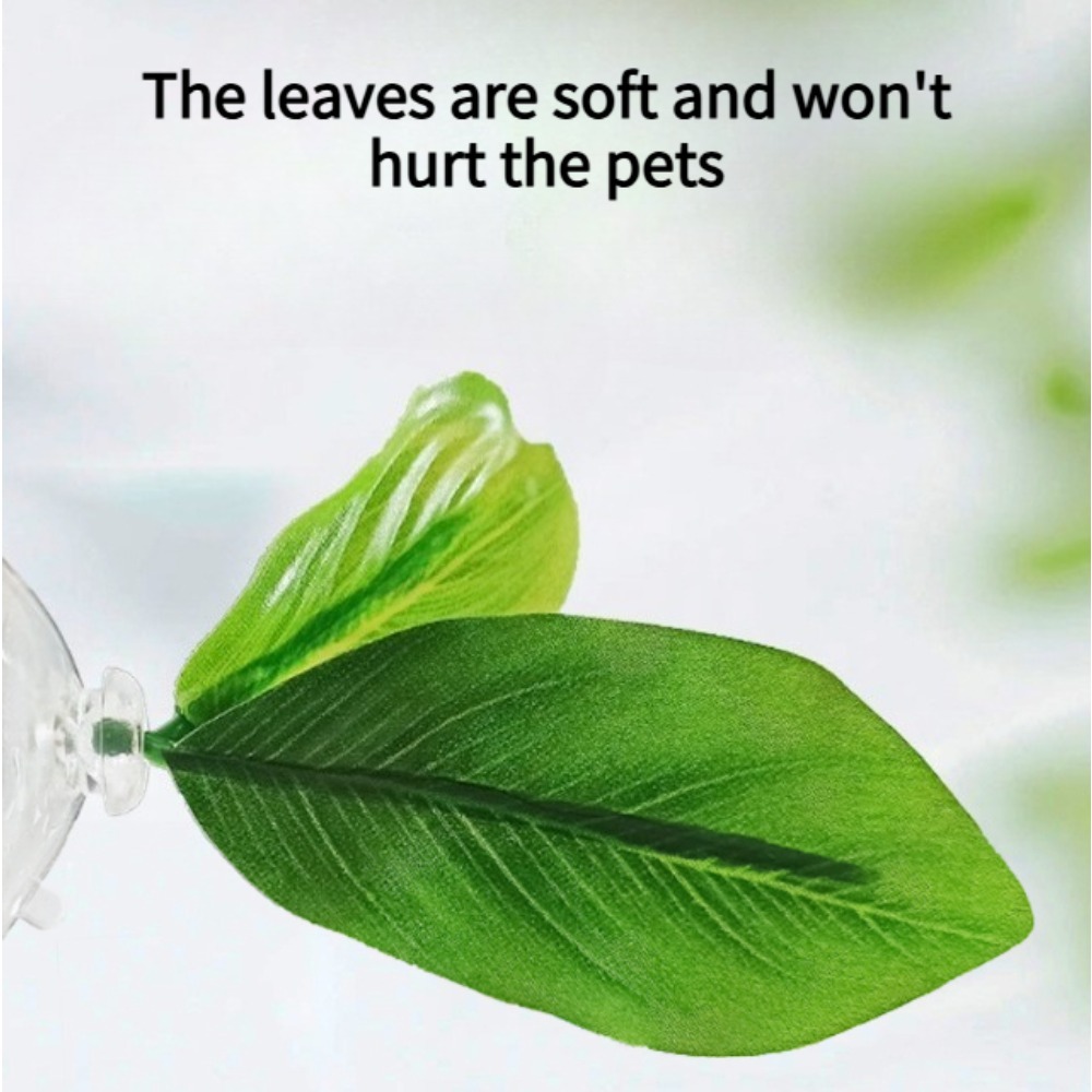 1개입 녹색 잎사귀 베타 물고기 해먹 스트레스 감소 수 - Planted Aquarium For Betta 리뷰 및 가격