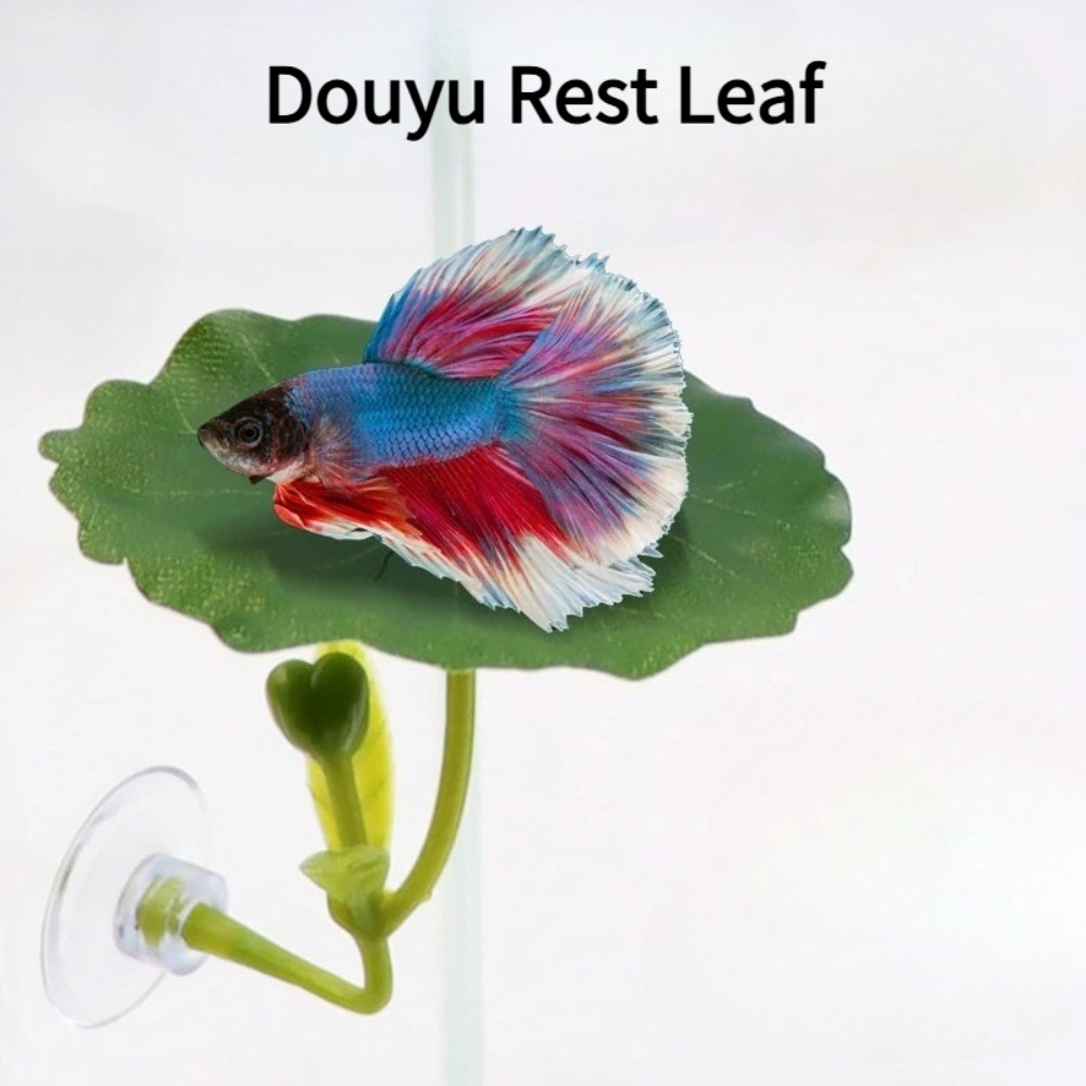 1개입 녹색 잎사귀 베타 물고기 해먹 스트레스 감소 수 - Planted Aquarium For Betta 리뷰 및 가격