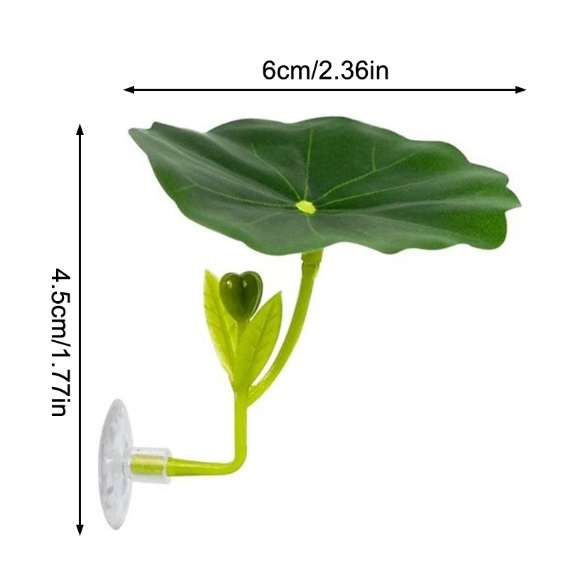 베타 물고기용 스트레스 감소 장치, 수족관 안전 장식품 - Planted Aquarium For Betta 리뷰 및 가격